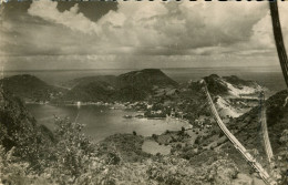 CPSM PF- Guadeloupe - Année 1950- LES SAINTES - Terre De Haut - Panorama Et Cactus Cierge**** 2 Scans - Basse Terre