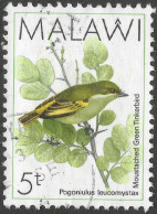 Malawi 1988 Birds. 5t Used. SG 791 - Malawi (1964-...)