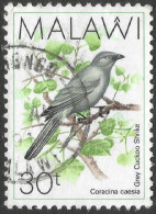 Malawi 1988 Birds. 30t Used. SG 797 - Malawi (1964-...)