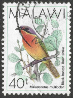 Malawi 1988 Birds. 40t Used. SG 798 - Malawi (1964-...)