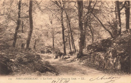 FRANCE - Fontainebleau - La Forêt - La Gorge Au Loup - Carte Postale Ancienne - Fontainebleau