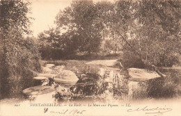 FRANCE - Fontainebleau - La Forêt - La Mare Aux Pigeons - Carte Postale Ancienne - Fontainebleau