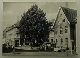 Germany-Finsterwalde-Thälmannstraße - Finsterwalde