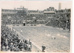 Photo Meurisse Années 1930,Water Polo France Hongrie, Format 13/18 - Deportes