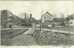 Nismes. Station Vue De Côté. Train. - Viroinval