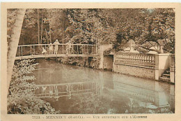 91 MENNECY - VUE ARTISTIQUE SUR L'ESSONNE - Mennecy