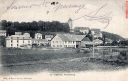 LA VIGNATTE - PORRENTRUY - CARTOLINA FP SPEDITA NEL 1907 - Porrentruy