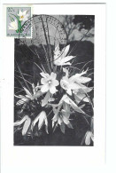 RUANDA-URUNDI     Velloziaceae  Vellozia Aequatorialis    FDC  5/5/1958 - Gebruikt