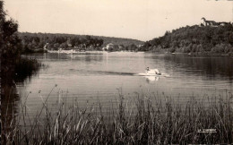 55 , Cpsm  DUN Sur MEUSE , 55.167.12 , Le Lac Vert (9522.F24) - Dun Sur Meuse