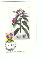 BELGISCH CONGO BELGE   MELASTOMACEE  DISSOTIS SP.   FDC 14/1/56 - Used Stamps