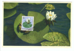 BELGISCH CONGO BELGE   3008 Nymphaea Alba  FDC 6/5/54 - Usados