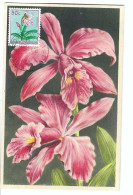 BELGISCH CONGO BELGE   Orchidée  Standelkruit  FDC 13/10/54 - Gebruikt