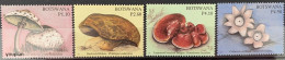 Botswana 2007, Mushrooms, MNH Stamps Set - Botswana (1966-...)