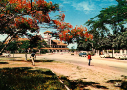 CPSM-Congo- POINTE NOIRE - Plac De La GARE , Arbres " FLAMBOYANTS" En Fleurs** 2 Scans - Pointe-Noire