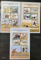 Botswana 2018, Kgalagadi Biodiversity, Three MNH S/S - Botswana (1966-...)
