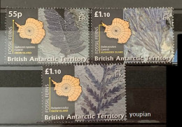 British Antarctic Territory 2008, BAT Fossils And Ferns, MNH Stamps Set - Unused Stamps