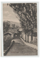 INDONESIE --JAVA---SANATORIUM TOSARI --Carte De SAÏGON Pour DRESDE (ALLEMAGNE) - Indonesien