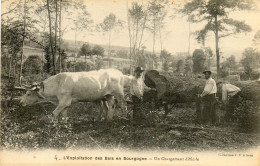 - Exploitation Des Bois En BOURGOGNE - Un Chargement Difficile (attelage De Boeufs)  -26654- - Bourgogne