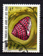 Afars Et Issas  - 1972 - Coquillages  -  N° 377 - Oblit - Used - Usados