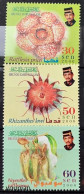 Brunei 2000, Endemic Flora, MNH Stamps Set - Brunei (1984-...)