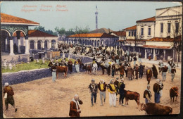 1914 Tirana In Albania Catle Market. I- 54 - Albanie