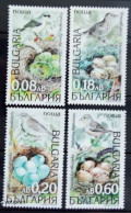 Bulgaria 1999, Birds And Nests, MNH Stamps Set - Nuovi