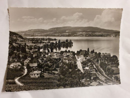 Mannenbach (TG) Schweiz - Blick Auf Untersee U. Berlingen - Salenstein