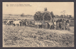 114591/ KITOBOLA, Transport Du Riz - Congo Belge