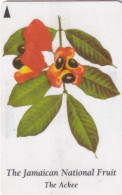 JAMAICA(GPT) - The Jamaican National Fruit/The Ackee, CN : 120JAMA, Used - Giamaica