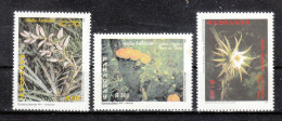 Paraguay 1997**, Flora, Mit Kaktus Opuntia+Monvillea / Paraguay 1997, MNH, Flora, With Cactus Cereus+Monvillea - Cactussen