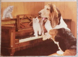 Petit Calendrier De Poche 1981 Chien Chat Chaton Piano  - Annonay Ardèche - Petit Format : 1981-90