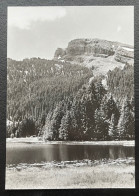 Schwendisee Mit Käserrugg Im Obertoggenburg - Wildhaus-Alt Sankt Johann