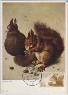 52609 - IFNI - MAXIMUM CARD - ANIMALS Rodents SQUIRRELS  1956 - Rongeurs