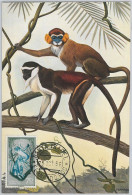 52615 - Spanish GUINEA - MAXIMUM CARD - ANIMALS  Monkeys  1956 - Apen