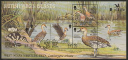 British Virgin Islands   2002  Whistling Duck Sheet  MNH - Eenden