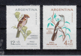 Argentinien 1962**, Kinderhilfe. Sukkulente Senecio Sp. / Argentina 1962, MNH, Children's Aid, Succulent Senecio Sp. - Cactusses