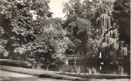 FRANCE - Tours - Les Prébendes - Carte Postale - Tours