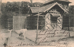 FRANCE - Tours - Pensionnaires Du Jardin Des Plantes - Dos Non Divisé - Carte Postale Ancienne - Tours