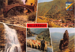 30-VALLERAUGUE-N°3781-C/0341 - Valleraugue