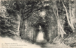 FRANCE - Seigneurie Des Mesnuls - Dans Le Parc - La Percée Du Maréchal De Villars - Carte Postale Ancienne - Other & Unclassified