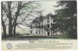 TILFF : Le Château De Brialmont - Esneux