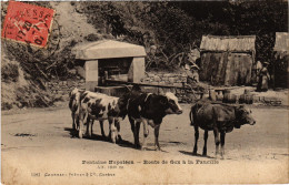 CPA Fontaine Napoléon Route De Gex A La Faucille (1277347) - Villars-les-Dombes