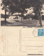 Ansichtskarte Holzhau-Rechenberg-Bienenmühle Partie An Der Fischerbaude 1956  - Holzhau