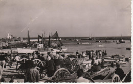 LESCONIL La Cale éditeur Pouillot N° 193 - Lesconil