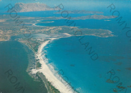 CARTOLINA  B9 S.TEODORO,NUORO,SARDEGNA-SPIAGGIA LA CINTA-SULLO SFONDO MOLARA E TAVOLARA-MARE,VACANZA,VIAGGIATA 1983 - Nuoro