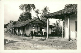 PANAMA - GUALACA - CHIRIQUI - FOTO FLATAU - RPPC POSTCARD - 1930s (17753) - Panama