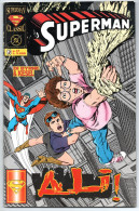 Superman Classic (Play Press 1995) N. 17 - Superhelden