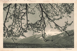 Suisse - Swiss - Heinmat - Montagnes - Paysage - Carte Postale Ancienne - Autres & Non Classés