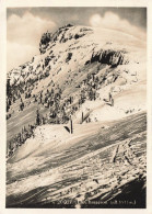 Suisse - Swiss - Le Chasseron (Alt 1011m) - Neige - Carte Postale Ancienne - Sonstige & Ohne Zuordnung