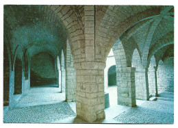 IGLESIA ROMANICA STA. MARIA - CLAUSTRO S.XI.-  AINSA - HUESCA.- ( ESPAÑA ) - Huesca